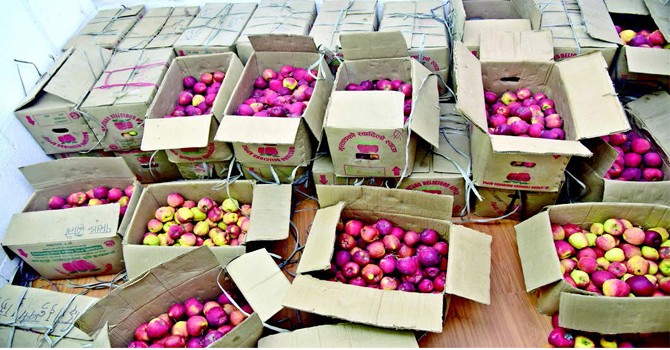 domestic-apple-market-giving-farmers-good-return